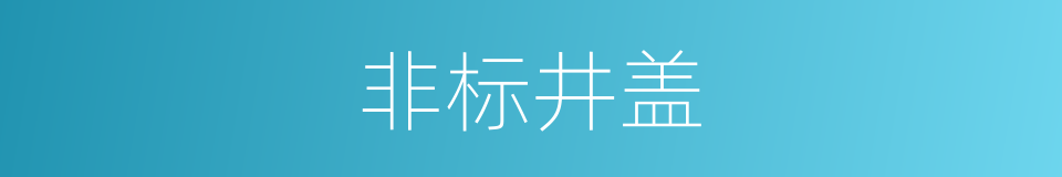 非标井盖的同义词