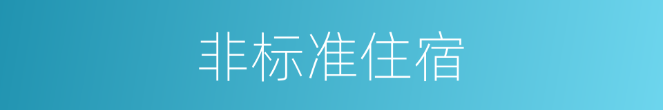 非标准住宿的同义词