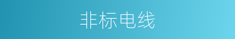 非标电线的同义词