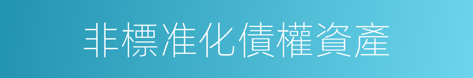非標准化債權資產的同義詞