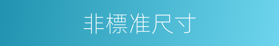 非標准尺寸的同義詞