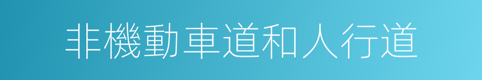 非機動車道和人行道的同義詞