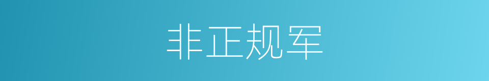 非正规军的意思