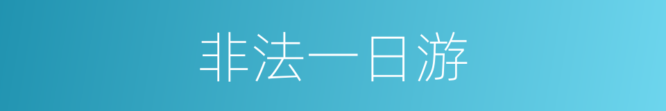 非法一日游的同义词