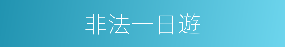 非法一日遊的同義詞