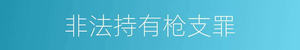 非法持有枪支罪的同义词