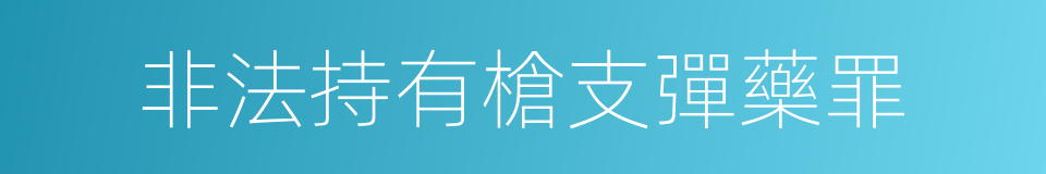 非法持有槍支彈藥罪的同義詞