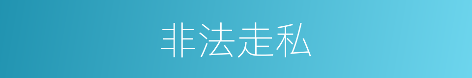 非法走私的意思