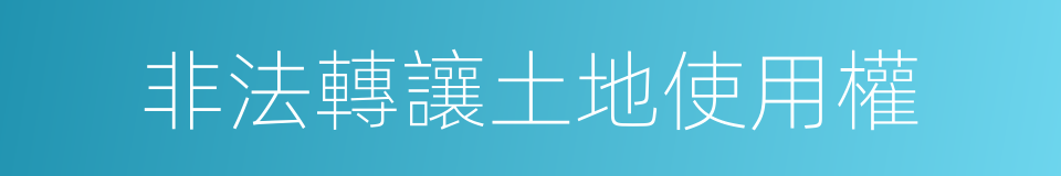 非法轉讓土地使用權的同義詞