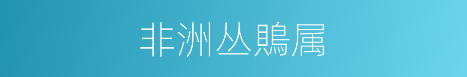 非洲丛鵙属的同义词