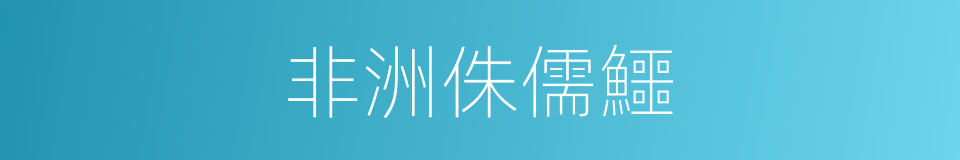 非洲侏儒鱷的同義詞