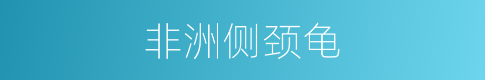 非洲侧颈龟的同义词