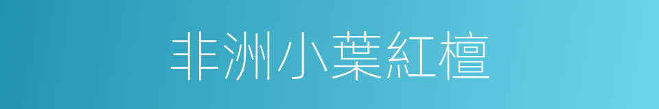 非洲小葉紅檀的同義詞