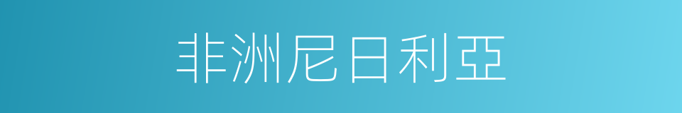 非洲尼日利亞的同義詞