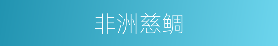 非洲慈鲷的同义词