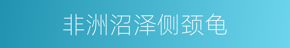 非洲沼泽侧颈龟的同义词