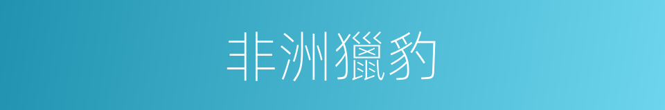 非洲獵豹的同義詞