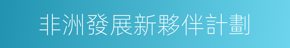 非洲發展新夥伴計劃的同義詞