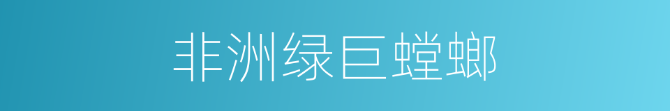 非洲绿巨螳螂的同义词