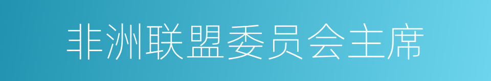 非洲联盟委员会主席的同义词