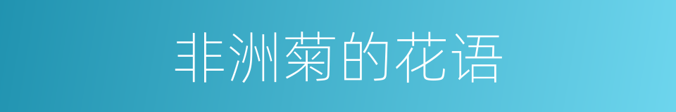非洲菊的花语的同义词