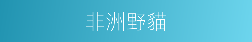 非洲野貓的同義詞