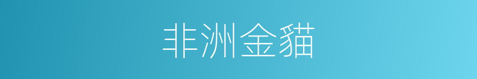 非洲金貓的同義詞