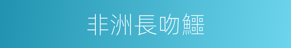 非洲長吻鱷的同義詞