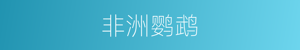 非洲鹦鹉的同义词