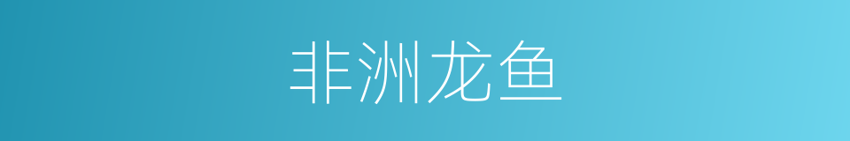 非洲龙鱼的同义词