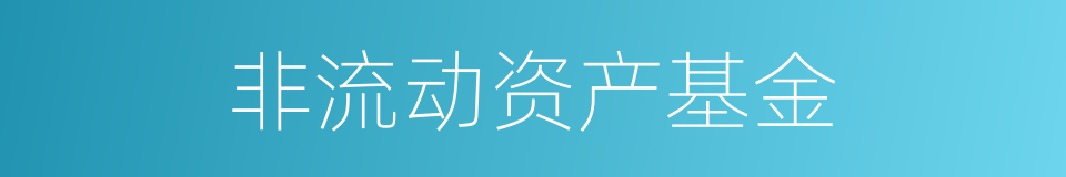 非流动资产基金的同义词