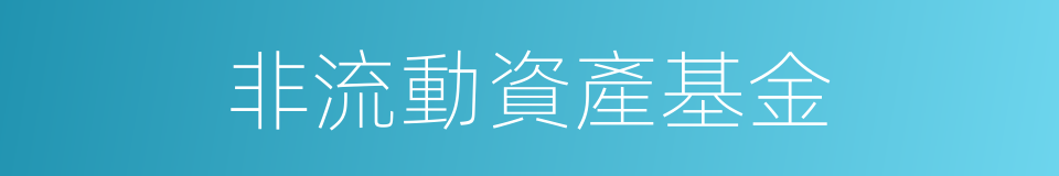 非流動資產基金的同義詞