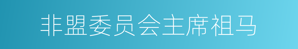 非盟委员会主席祖马的同义词