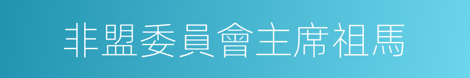 非盟委員會主席祖馬的同義詞