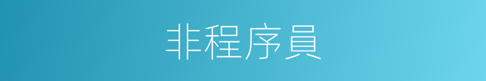 非程序員的同義詞