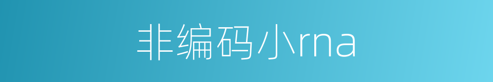 非编码小rna的同义词