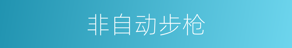 非自动步枪的同义词