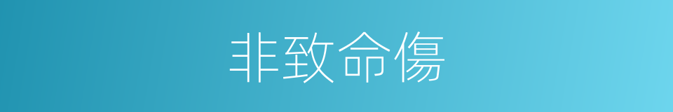 非致命傷的意思