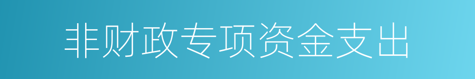 非财政专项资金支出的同义词