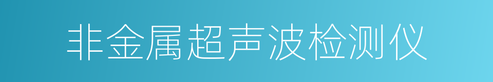 非金属超声波检测仪的同义词