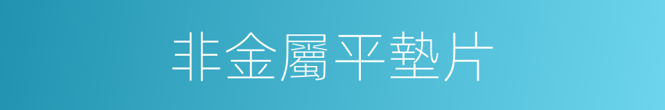 非金屬平墊片的同義詞