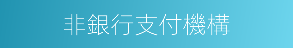 非銀行支付機構的同義詞