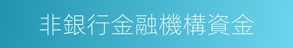 非銀行金融機構資金的意思