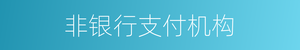 非银行支付机构的同义词