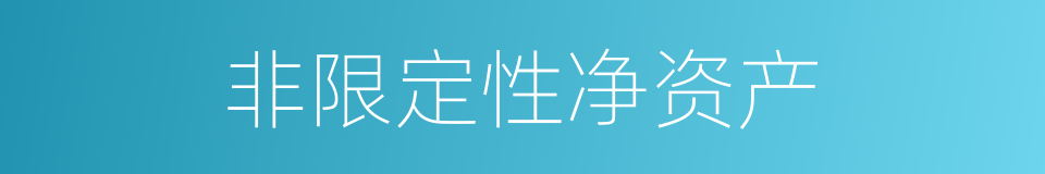 非限定性净资产的同义词