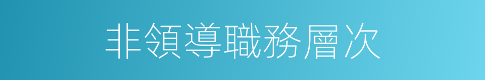 非領導職務層次的同義詞