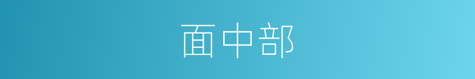 面中部的同义词