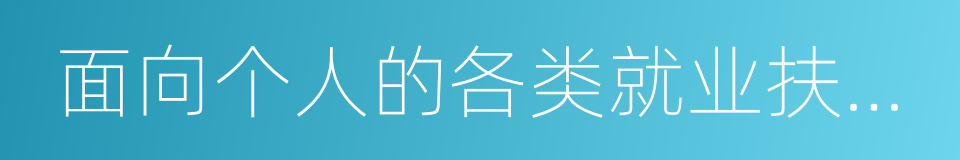 面向个人的各类就业扶持政策补贴的同义词