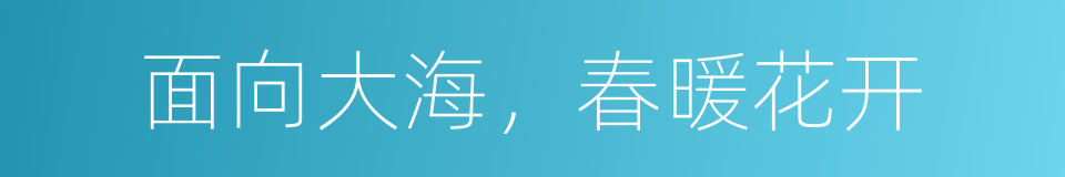 面向大海，春暖花开的同义词