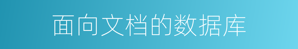 面向文档的数据库的同义词